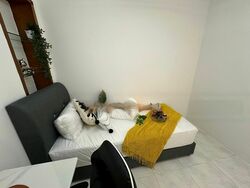 Loyang Valley (D17), Condominium #473785001